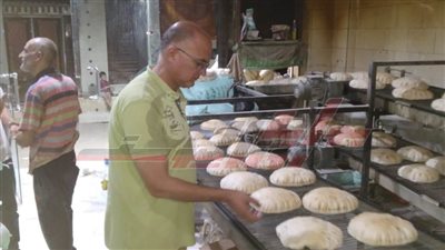 تحرير 265 محضرًا تموينيًا متنوعًا لأصحاب المخابز والمحال التجارية