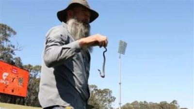 توقفت 30 دقيقة.. ثعبان يقتحم مباراة نسائية فى الدورى الأسترالى