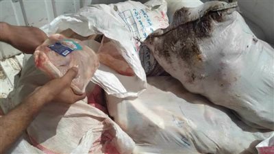 بيطري المنيا يضبط 233 كجم لحوم غير صالحة للاستهلاك الآدمي ولحوم مذبوحة خارج المجازر