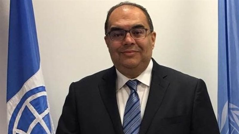 الدكتور محمود محيي