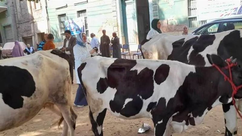 قوافل بيطرية مجانية