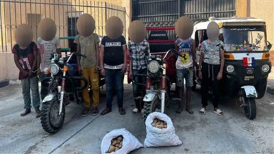 ضبط تشكيل عصابي بالقليوبية تخصص في سرقة حمولة سيارات النقل بأسلوب المغافلة