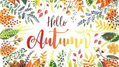 عاجل.. الأرصاد الجوية تعلن حلول الخريف غدًا.. تعرف على ماذا وصفته؟