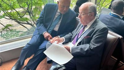 وزير الخارجية يبحث مع نظيره البرازيلي العلاقات الثنائية وتعزيزها