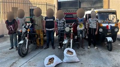 عاجل| حبس 12 متهمًا بسرقة الثمار من السيارات في العبور 
