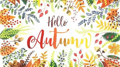 عاجل.. الأرصاد الجوية تعلن توقعاتها لأحوال الطقس في أول أيام 