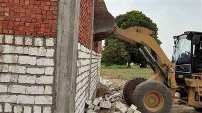 إزالة ١٣٣ حالة تعد على الأراضي الزراعية وأملاك الدولة بمراكز المنيا