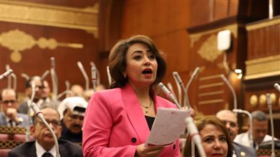 نائبة عن حماة الوطن بسوهاج: نؤيد السيسي في الانتخابات المقبلة لمواصلة عملية التنمية