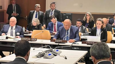 عاجل| شكري يؤكد ضرورة التعامل الفوري مع أزمة الدين عبر حلول مستدامة