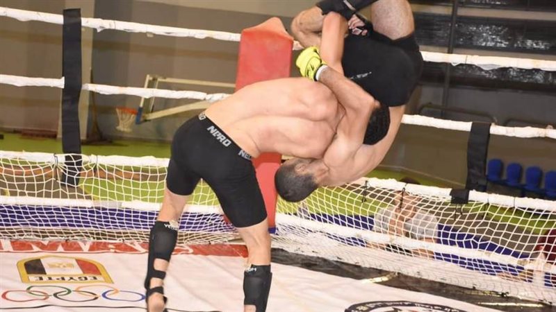 بوابة روز اليوسف