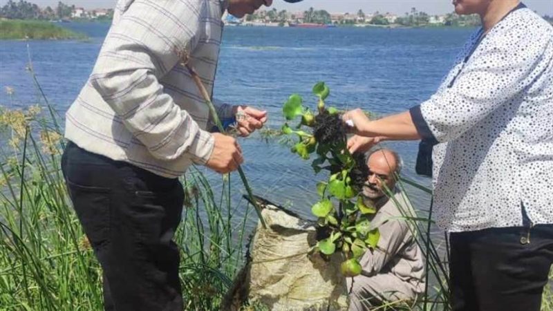 مكافحة ناقلات الأمراض