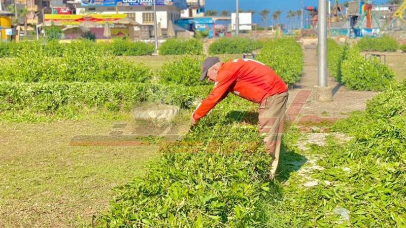 مدن كفرالشيخ