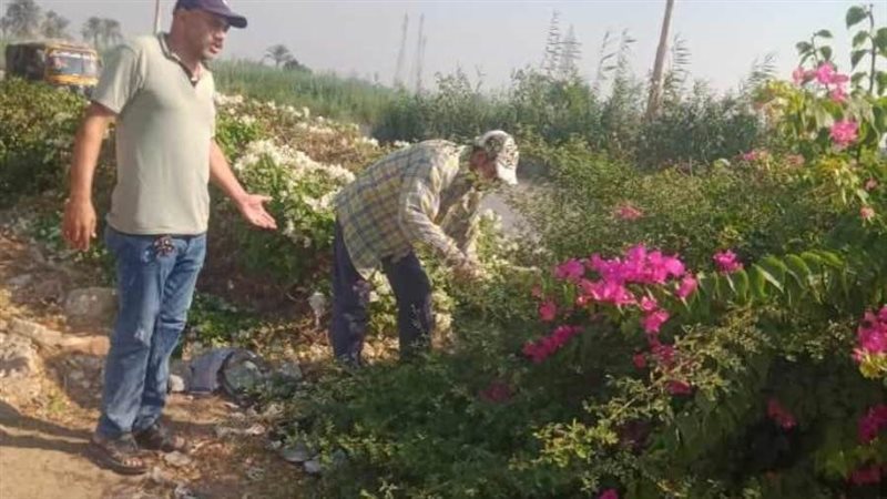 زراعة أشجار مثمرة