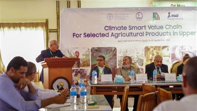 تقنيات مبتكرة في سلاسل القيمة للمحاصيل الزراعية للتكيف مع تغيرات المناخ