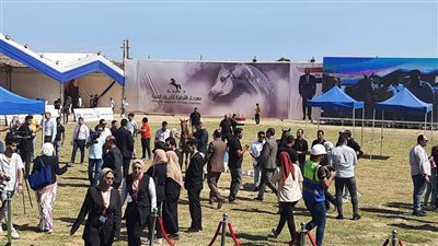 انطلاق بطولات جمال الخيول العربية الأصيلة بالشرقية