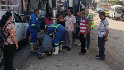 حي غرب الإسكندرية.. استمرار تطهير الشنايش والمطابق 