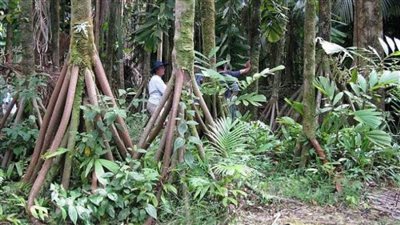 الأغرب في العالم ..