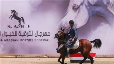 انطلاق مسابقات تراث وأدب الخيل بمهرجان الشرقية للخيول العربية الأصيلة
