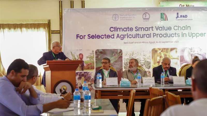 خلال الفعاليات