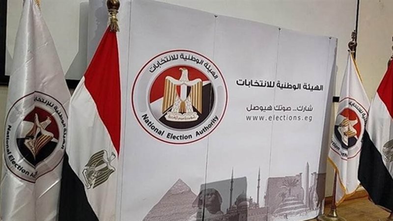 الهيئة الوطنية للانتخابات