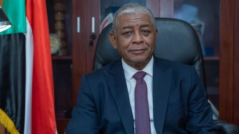 السفير محمد عبدالله