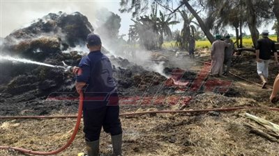 كفر الشيخ تكافح ظاهرة حرق قش الأرز وتحرير محاضر للمخالفين