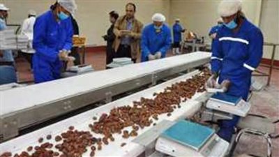 ضبط شاحنتين محملتين بالتمور أثناء محاولة لتهريب المحصول دون سداد الرسوم المقررة بالوادي الجديد