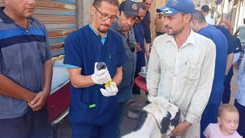 قافلة بيطرية لعلاج