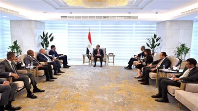 مدبولي يلتقي مسؤولي 