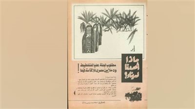 مطلوب لجنة عليا للتخطيط و5 ملايين مصري للإقامة فيها!