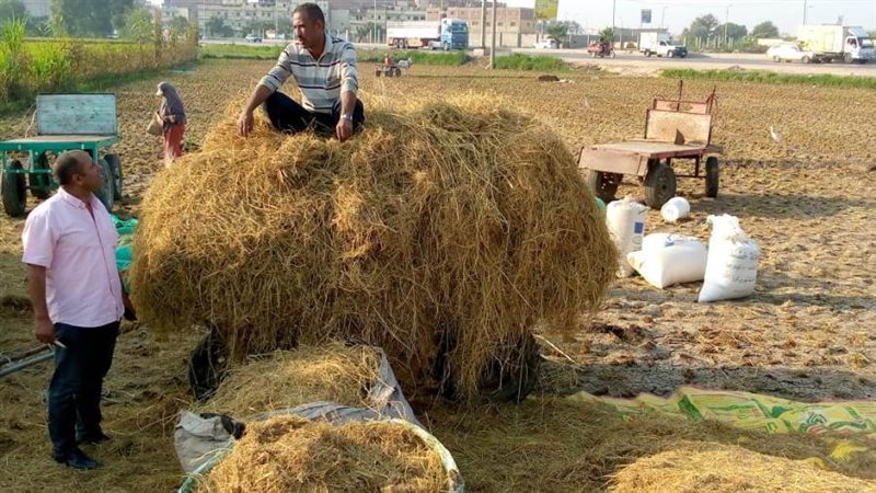 اجراءات مكثفة للقضاء