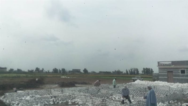 إزالة 11 حالة تعد