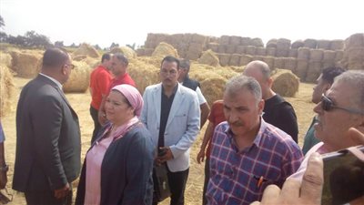 مساعد وزيرة البيئة تتابع حصاد محصول الأرز بالبحيرة