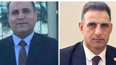 باحثان من جامعة الوادي الجديد ضمن أفضل علماء العالم