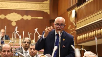 الجندي: قرار البرلمان الأوربي مبني علي أكاذيب