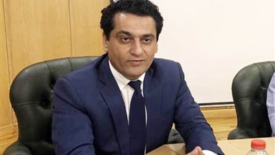 أيمن عبدالمجيد: التلاحم العربي في نصر أكتوبر درس على 