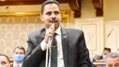 أشرف رشاد: بيان البرلمان الأوروبي مشبوه ويفتقد إلى أدنى معايير احترام سيادة الدول