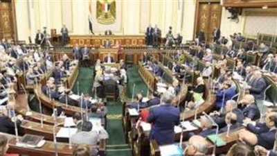 عضو لجنة العلاقات الخارجية بمجلس النواب: تستنكر بيان البرلمان الأوروبي