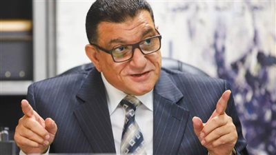 محسن الفحام: تدخل البرلمان الأوروبي في الانتخابات المصرية خط أحمر ومرفوض