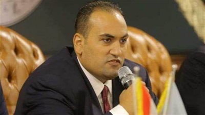 الرشيدي: بيان البرلمان الأوروبي يفتقد المصداقية ومبنى على معلومات مغلوطة وهدفه تعكير الصفو