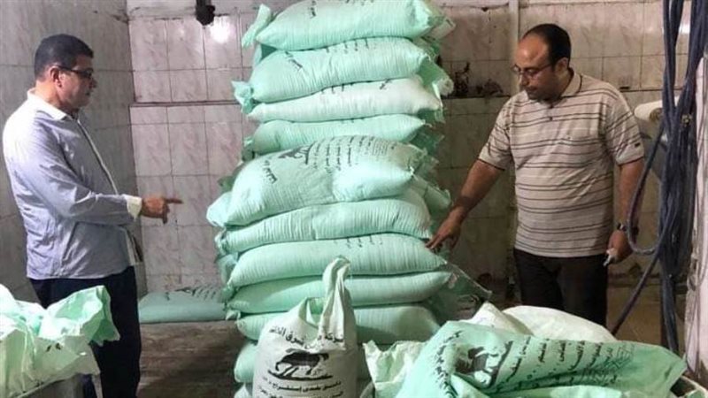 حملة التفتيش