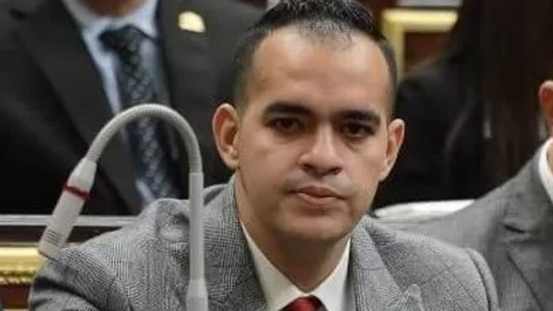 النائب محمود توشكي