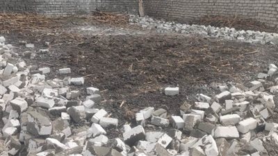 إزالة 21 حالة تعدٍ على الأراضي الزراعية وأملاك الدولة بالبحيرة