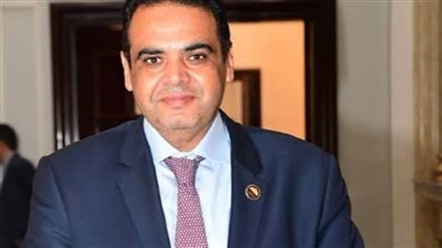 النائب نادر الخبيري: مصر تتبنى رؤية واضحة وحاسمة لوقف الانتهاكات الإسرائيلية