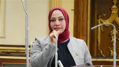 برلمانية تستنكر بيان البرلمان الأوروبي: مضلل ويحمل مغالطات وأكاذيب