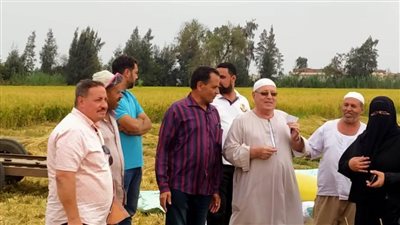 تشكيل لجان مرورية لمنع حرق قش الأرز بالبحيرة