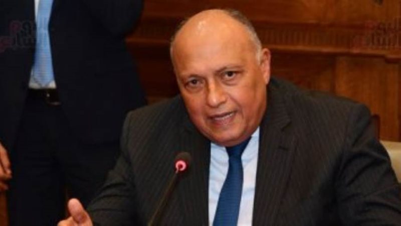 سامح شكري وزير الخارجية