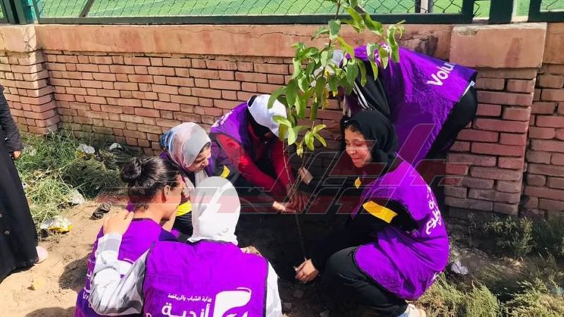 زراعة الأشجار