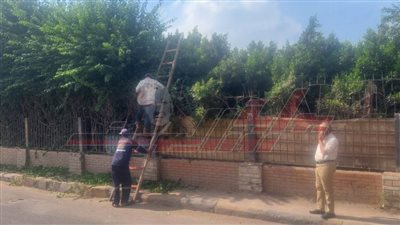 حملات نظافة وإزالة إشغالات بمراكز كفر الشيخ