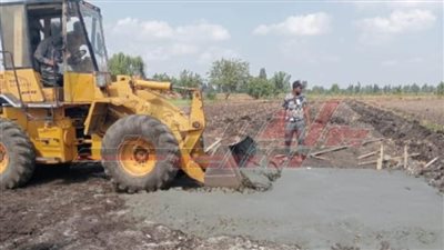 إزالة 11 حالة تعدٍ على الأراضي الزراعية بكفرالشيخ